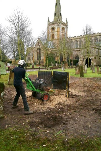 Stump Removal Services - detail 2