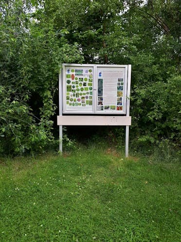 Mayfield Public Open Space york - image 8