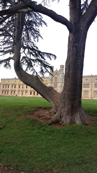 Ashton Court bristol - image 6