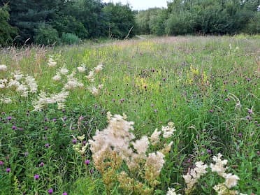 Mayfield Public Open Space york - image 9