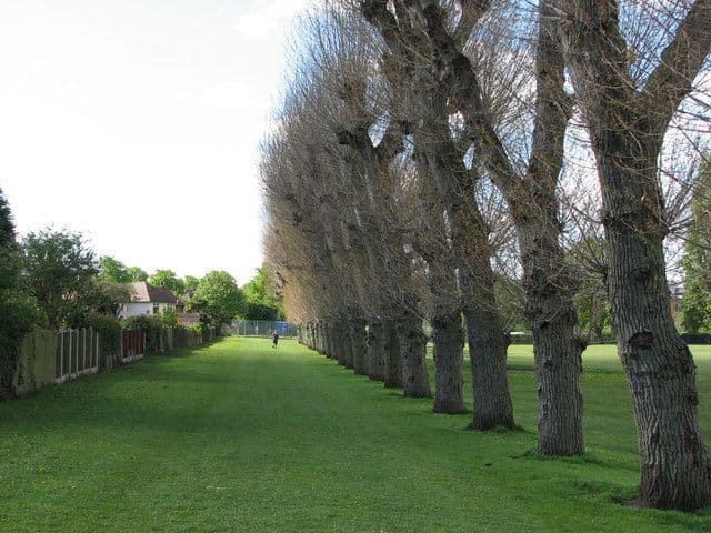 Melbourne Park - detail 3