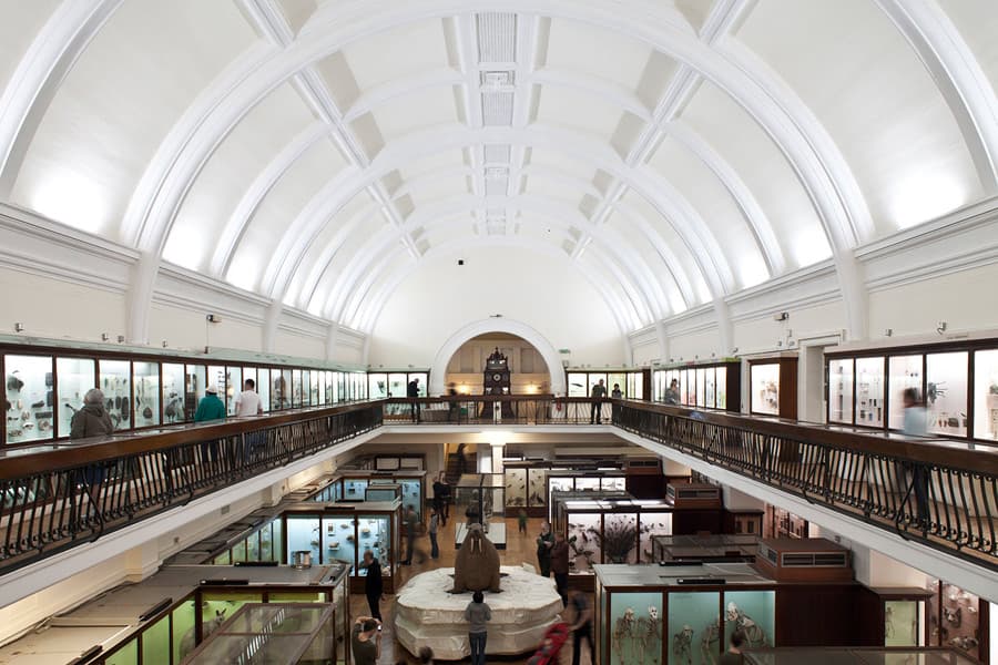 Horniman Museum and Gardens - detail 1