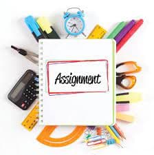 Hire Professional Assignment Writers for Customized Academic Assistance - detail 2