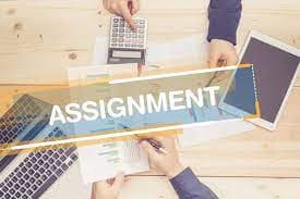 Hire Professional Assignment Writers for Customized Academic Assistance - detail 1