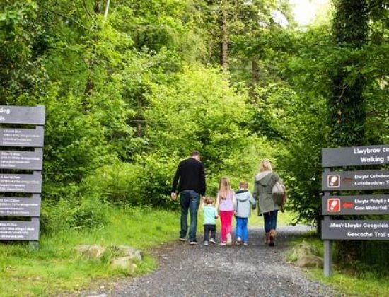 Coed y Brenin Forest Park