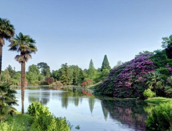 National Trust – Sheffield Park and Garden