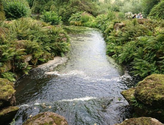 National Trust – Woolbeding Gardens