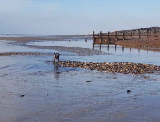 Eastern Sands Holiday Park