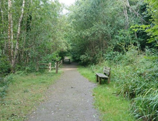 Crowborough Country Park