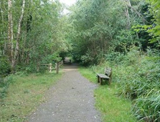 Crowborough Country Park