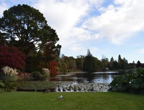 National Trust – Sheffield Park and Garden