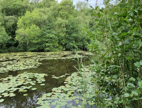 Southwater Country Park