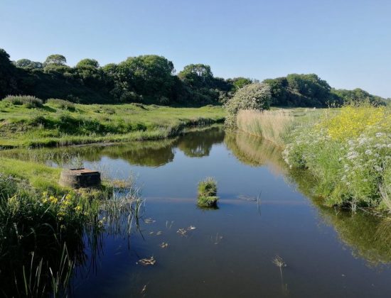 Winchelsea Sands Holiday Park