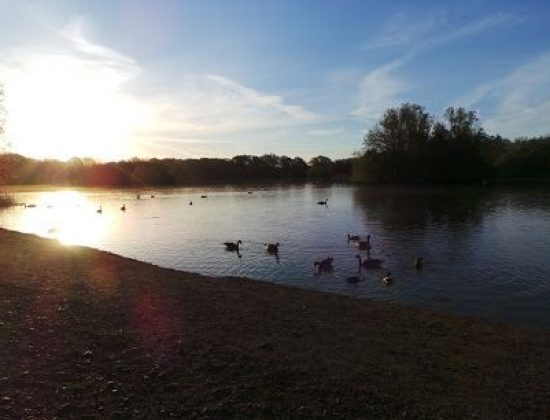 Haysden Country Park