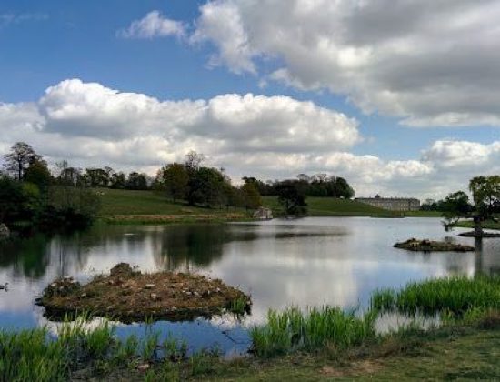 Petworth House and Park