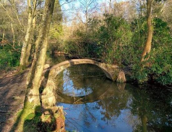 Sandgate Park