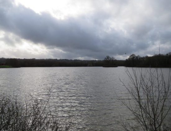 Haysden Country Park