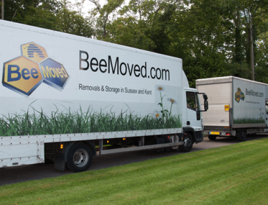 Bee Moved Removals