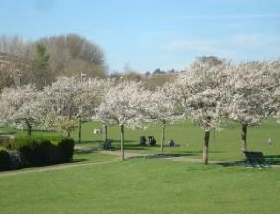 Hove Park