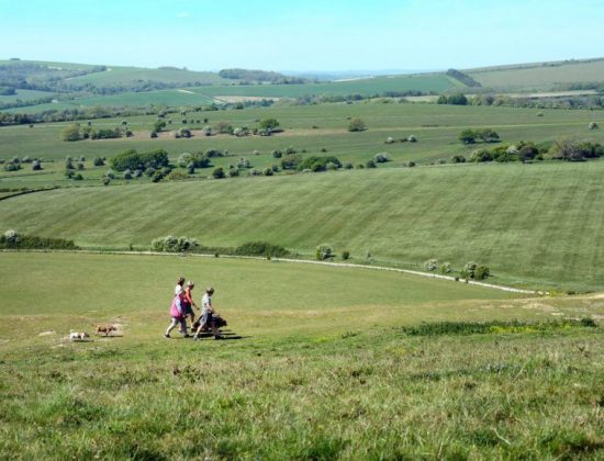 South Downs National Park