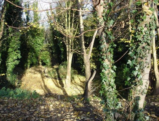 Quarry Holes Nature Reserve