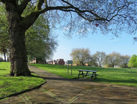 The Meadows Recreation Ground