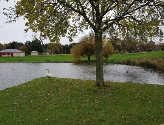 Eirias Park Lake