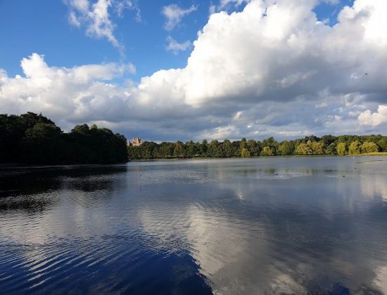 Wollaton Hall, Gardens and Deer Park