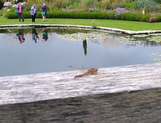 National Trust – Bodnant Garden