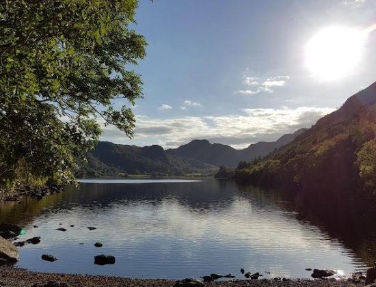 Gwydir Forest Park