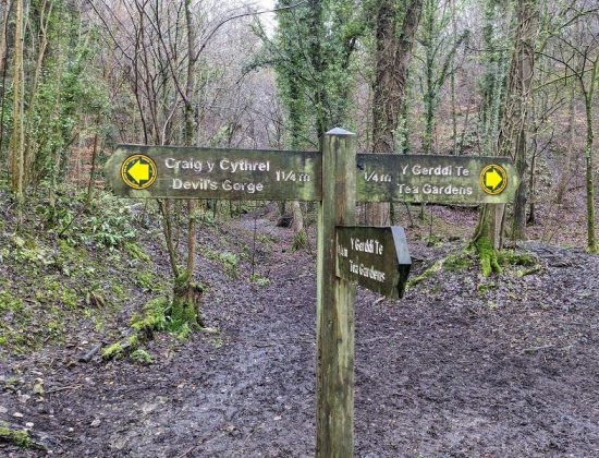 Loggerheads Country Park