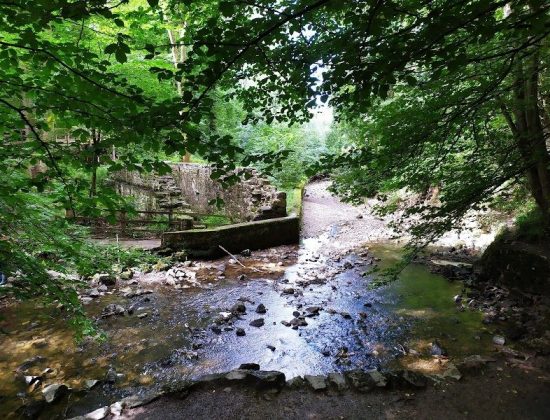 Loggerheads Country Park