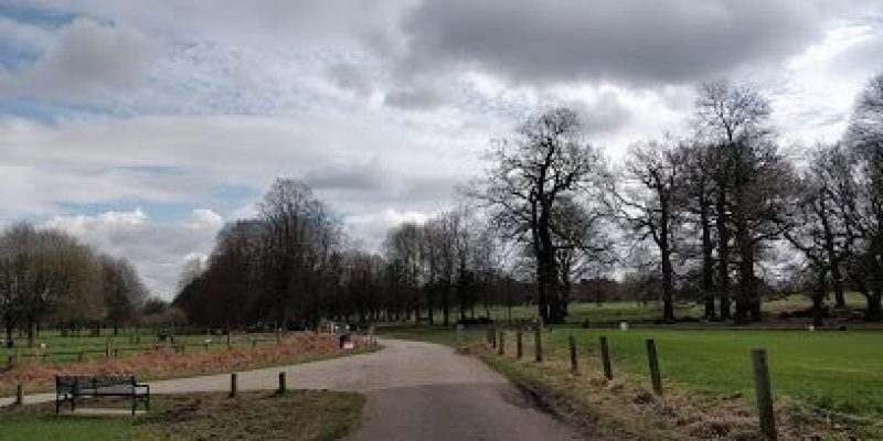 Wollaton Park Playground