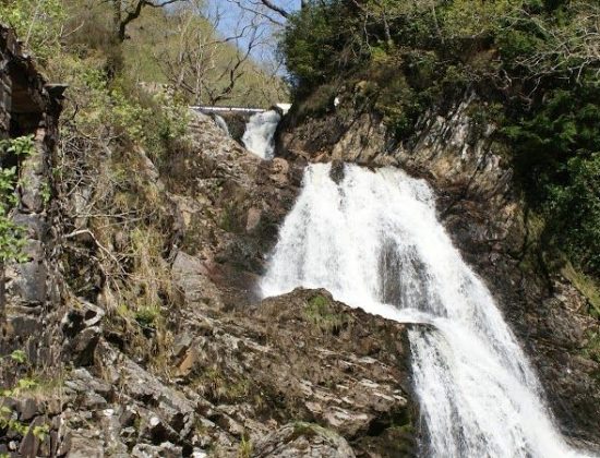 Coed y Brenin Forest Park