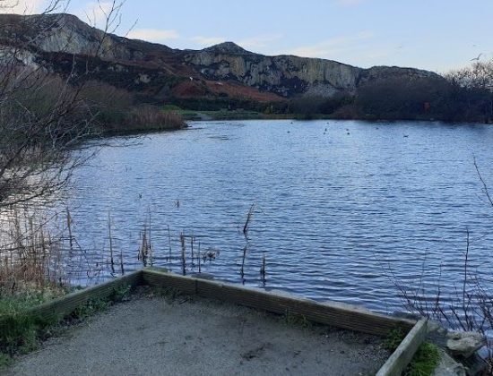 Breakwater Country Park