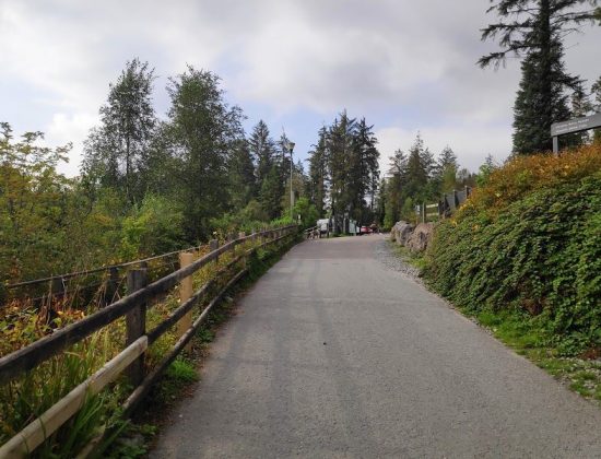 Coed y Brenin Forest Park