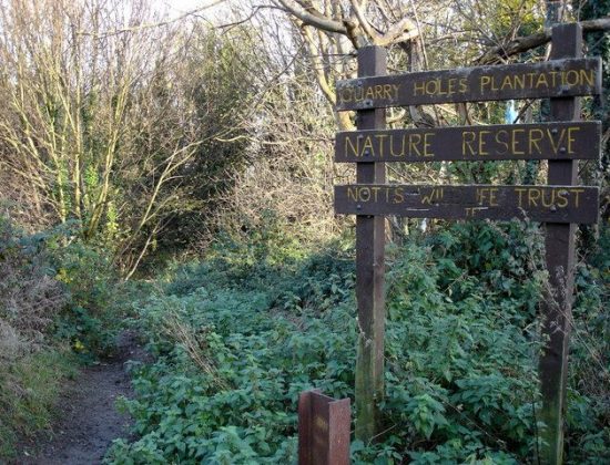 Quarry Holes Nature Reserve