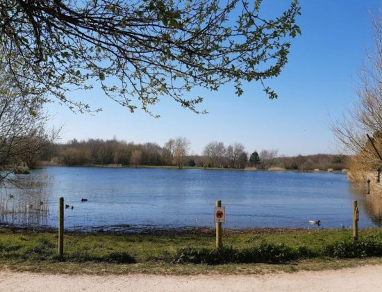 Rushcliffe Country Park