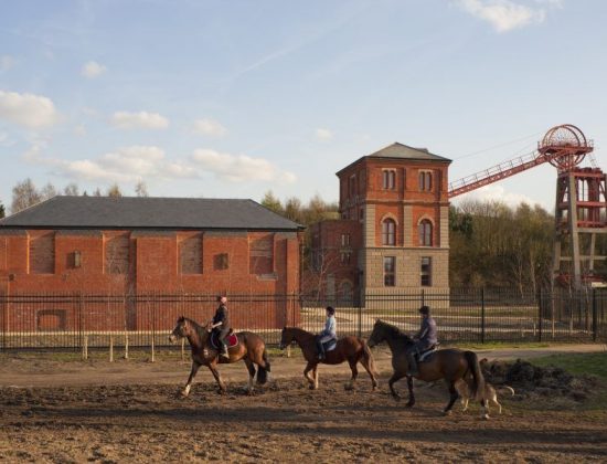 Bestwood Country Park