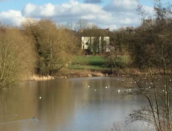 Bestwood Country Park – Mill Lakes