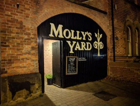 Molly’s Yard