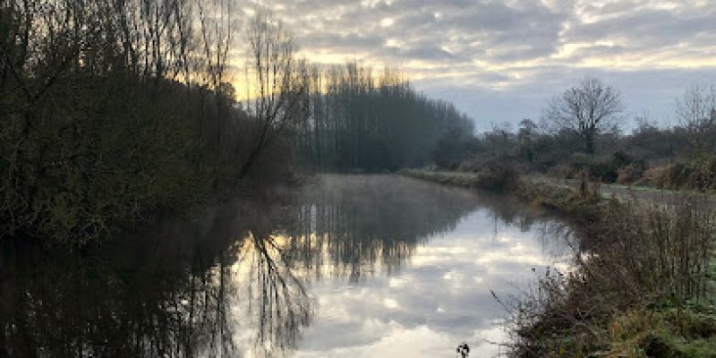 Lagan Meadows