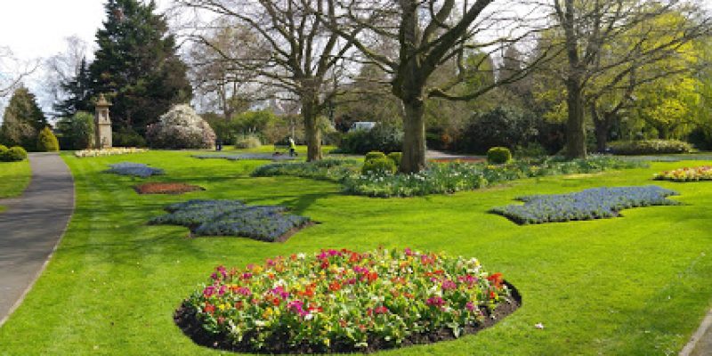 Musgrave Park, Belfast