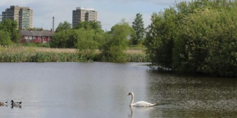 Bog Meadows Nature Reserve Car Park