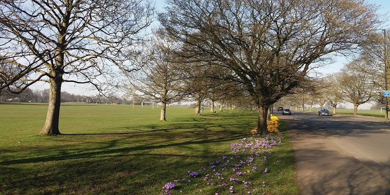 Roundhay Park