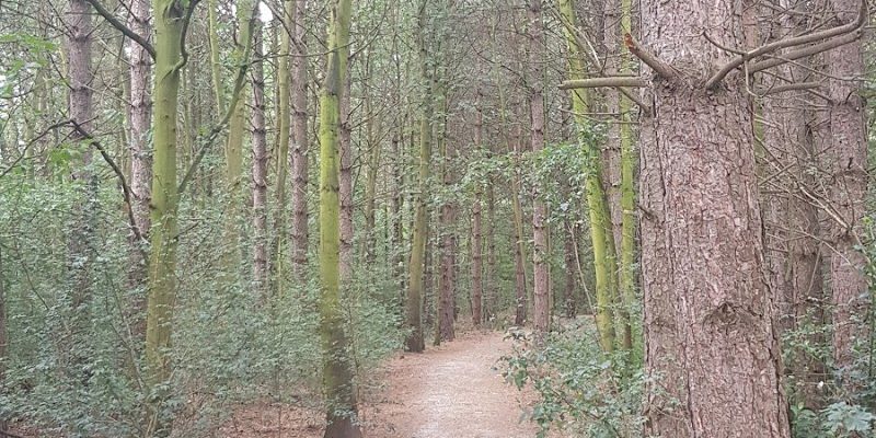 Water Haigh Woodland Park