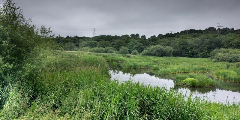 Rodley Nature Reserve