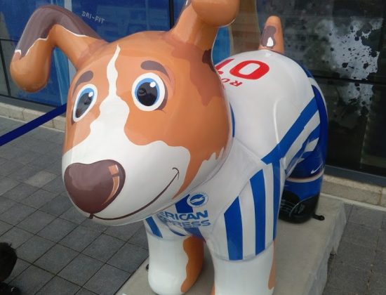 Brighton & Hove Albion Store & Ticket Office