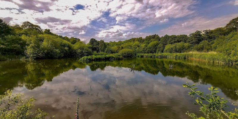 Adel Dam Nature Reserve