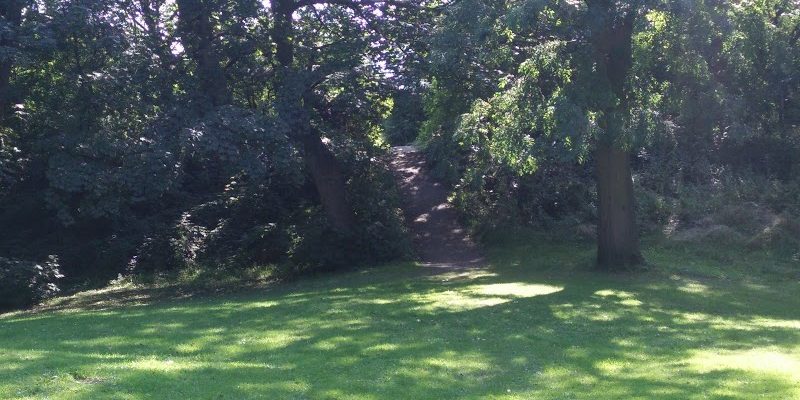 Rodley Nature Reserve